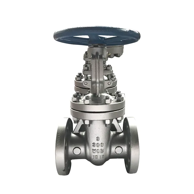 Trend Pembangunan Masa Depan Valve Gate