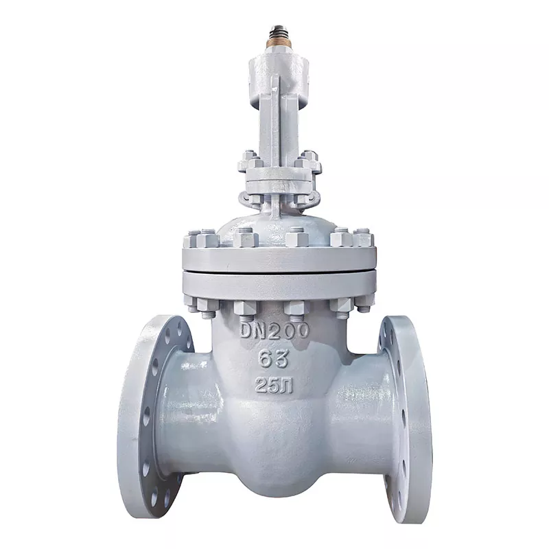 Injap pintu flange